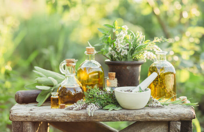 Importance of Herbal Medicine in the Modern Pharmacy | Body Union